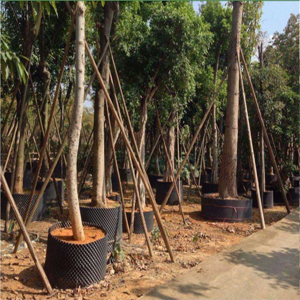 Maceta de cultivo para árboles - Nursery reseña y precio